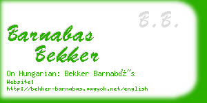 barnabas bekker business card